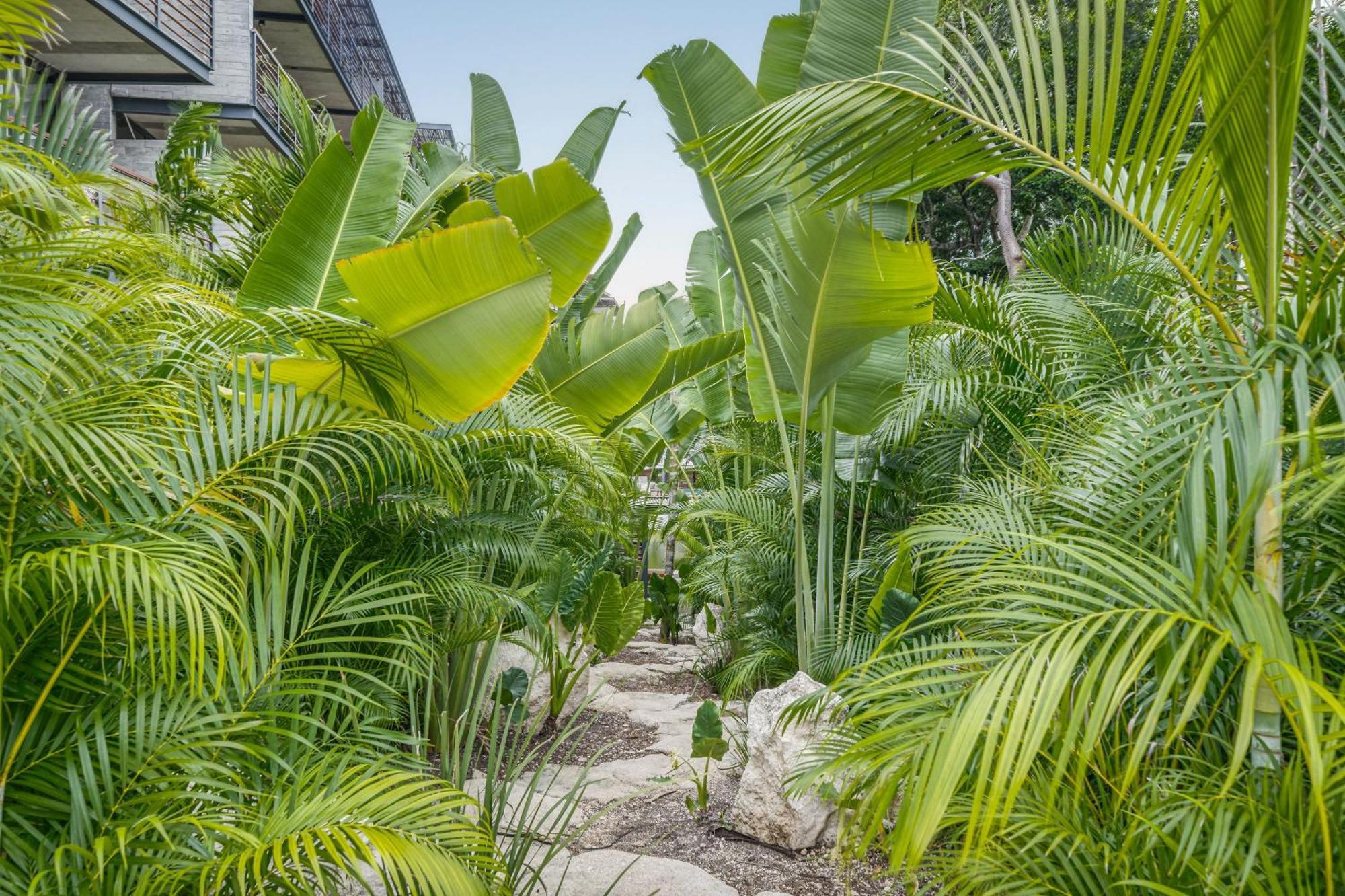 Waterworld Tulum 2Br W Cenote -Lagoons - Big Gym Kültér fotó